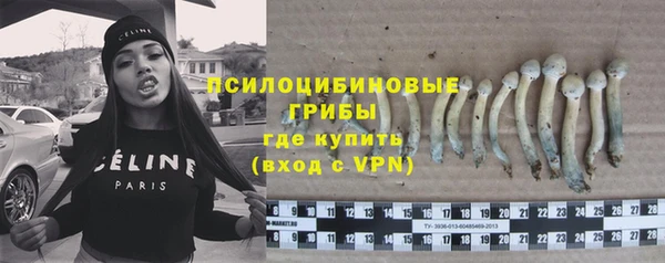 дживик Покровск