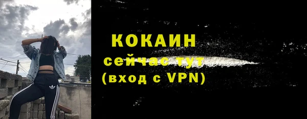 стаф Пересвет