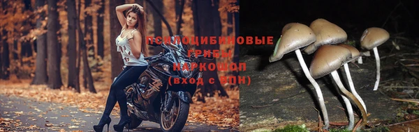 MDMA Premium VHQ Покачи